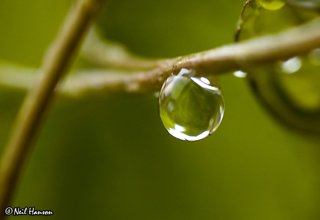 Wet Weather