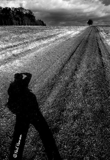Path to......