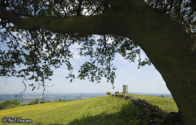 The Folly