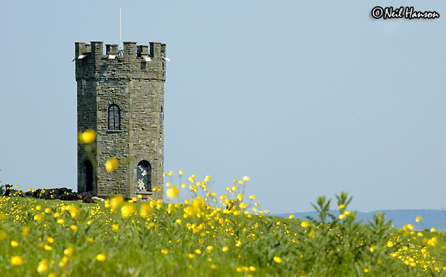 The Folly