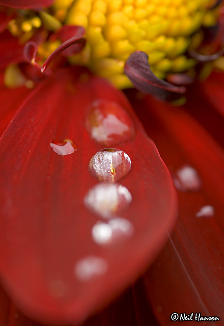 Drips
