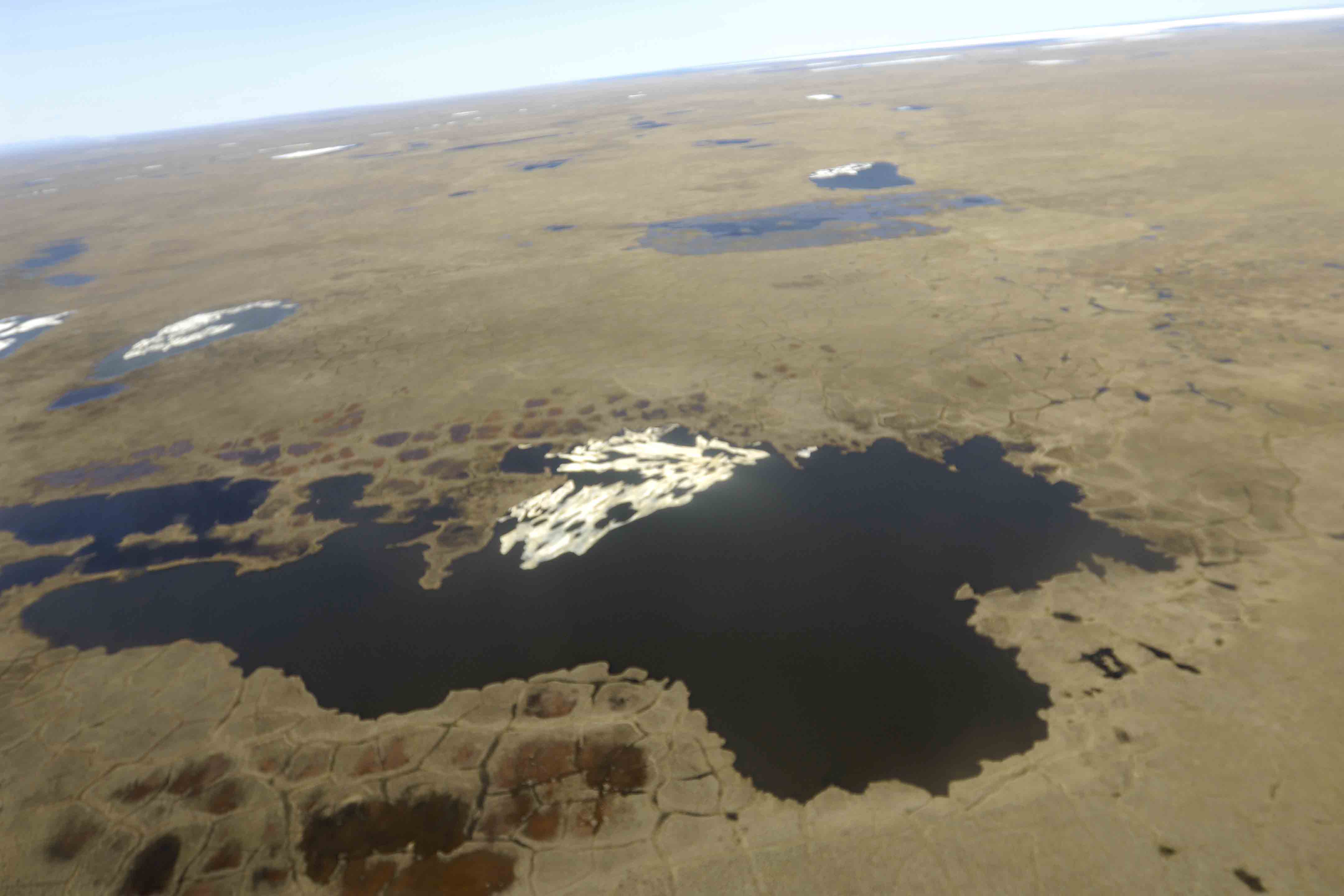 Coastal Plain, from plane-062909-ANWR, AK-#0082.jpg