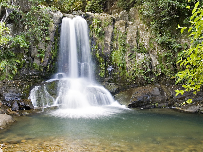 Waiau Falls