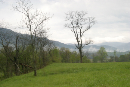 PLACES AND SPACES 20053.JPG