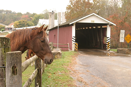 Pa. Covered Bridge 20119.JPG