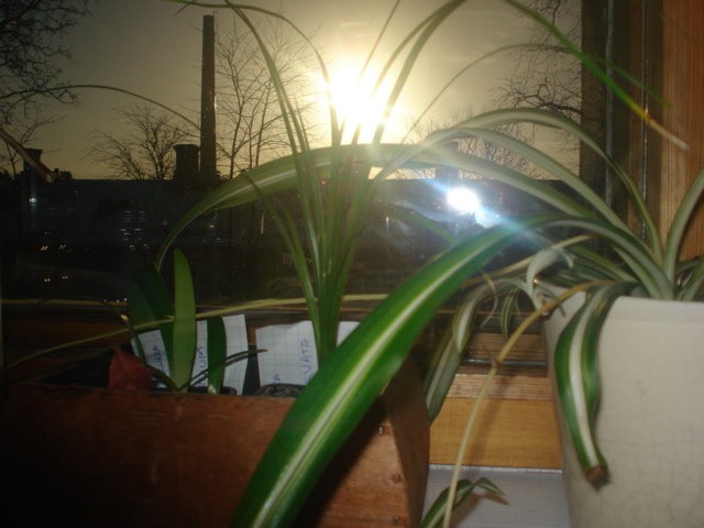 20080110