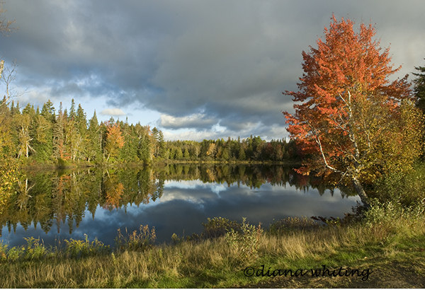 Fall in New England