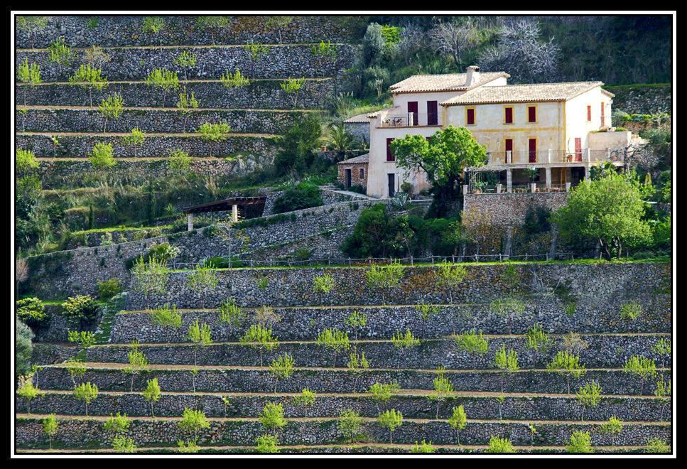 Bancales  -  Terraces