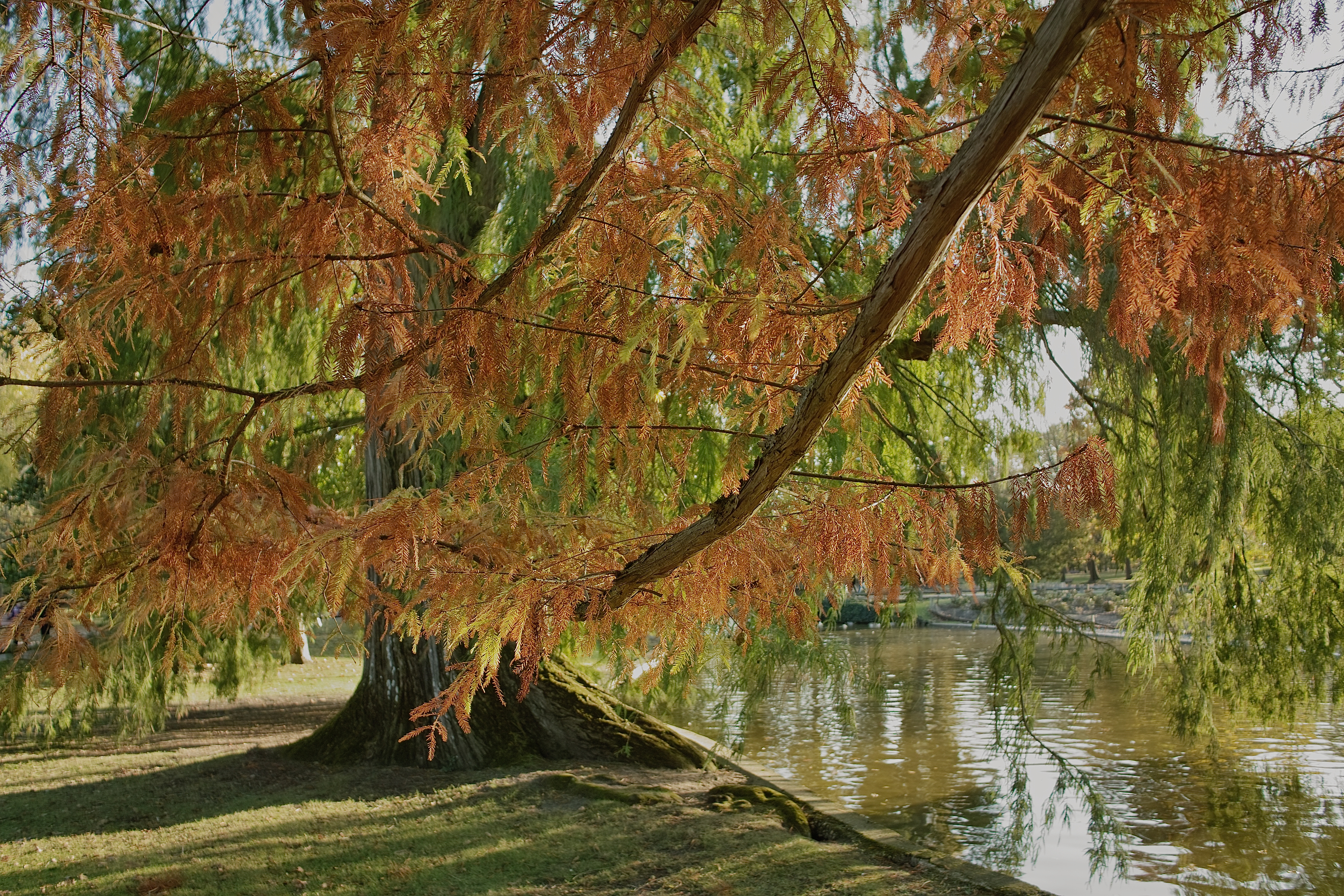 Parc Bordelais_DP1.jpg