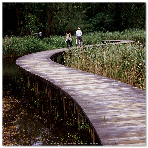 Hong Kong Wetland Park - 香港濕地公園