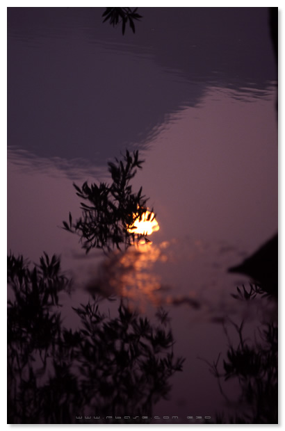 Shing Mun Reservoir  - 城門水塘