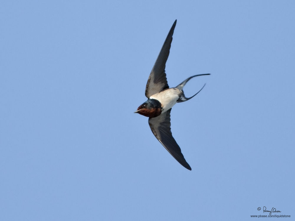IMG_3844-1000x750.jpg