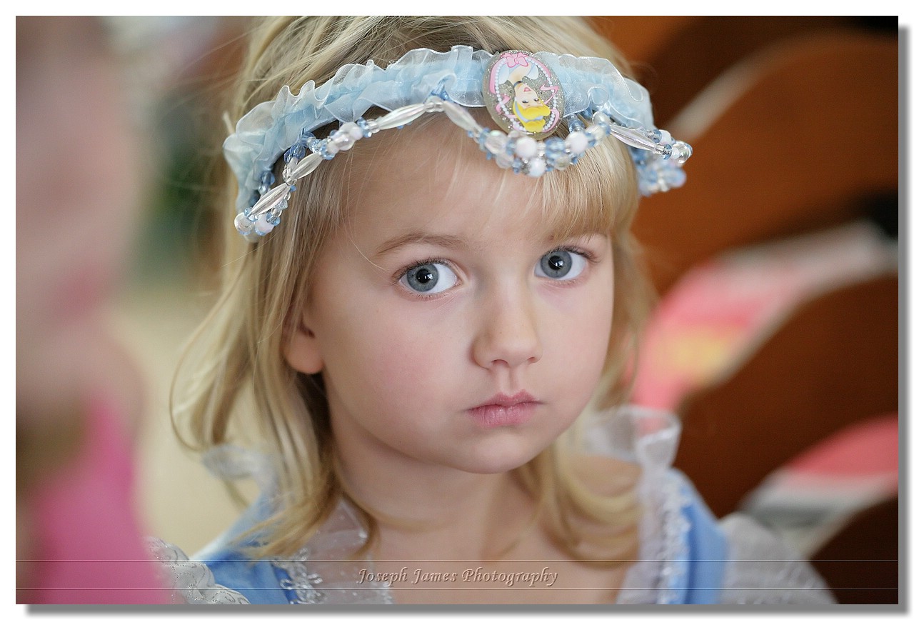 20061221 -- 7393 -- Canon 5D + Sigma 150 / 2.8 macro @ f / 2.8, 1/125, ISO 1600