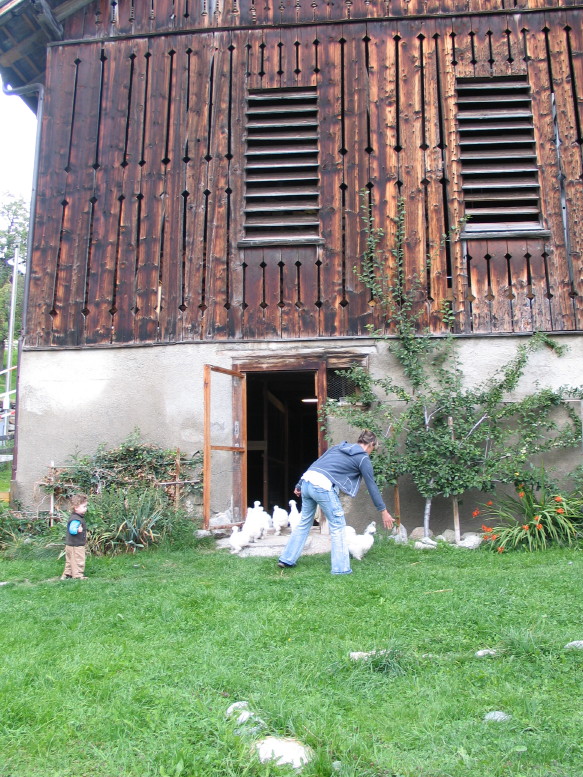 IMG_3841_15_1.JPG