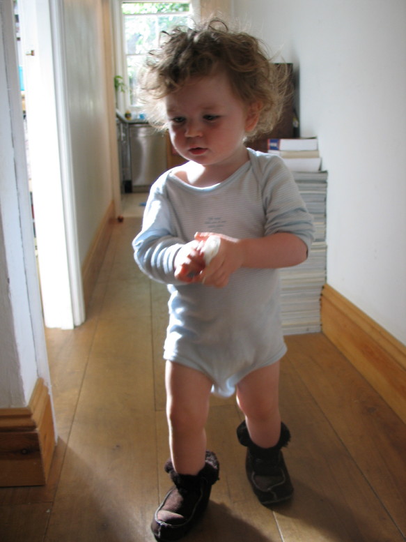 IMG_3678_1_1.JPG