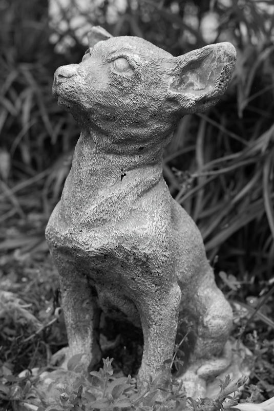 09-02-06-1 023.jpg