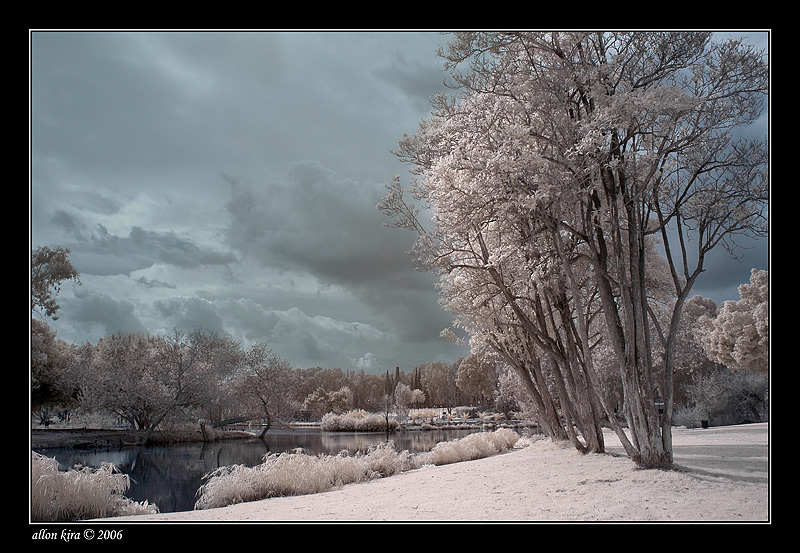 DSC_6453.jpg