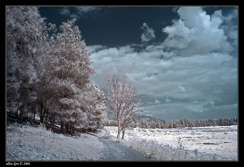 DSC_6598.jpg