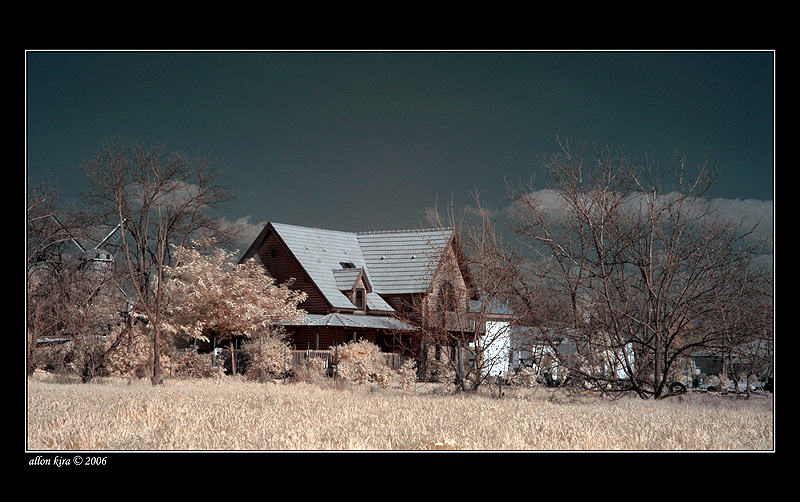 DSC_5994.jpg