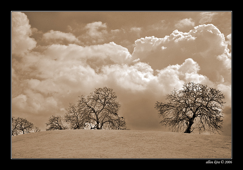 DSC_6646sepia.jpg
