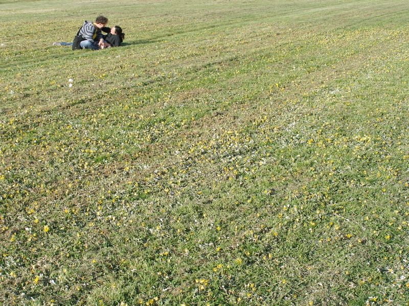 Marina Green