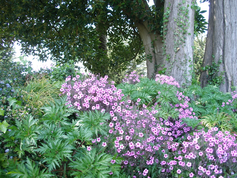 Lafayette Park