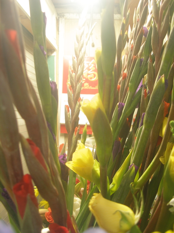 Montgomery Street Flowers