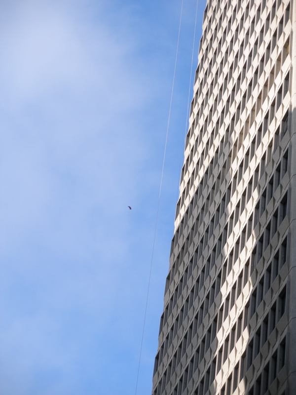 Transamerica