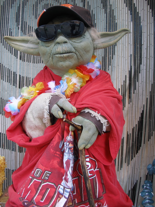 Yodaniner
