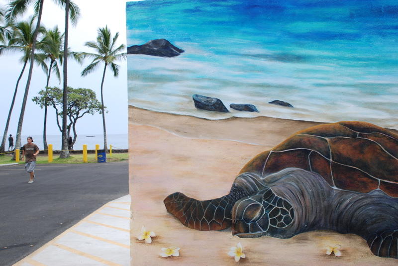 Kona Turtle Mural
