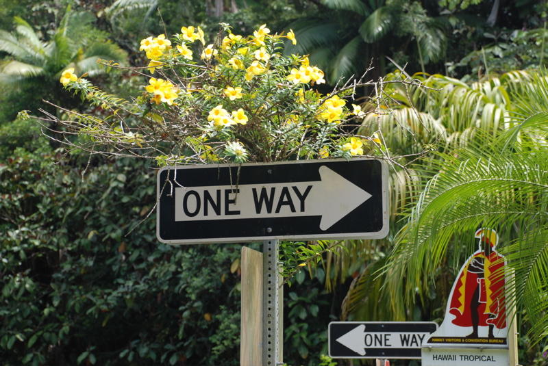 Hawai'i Tropical Botanical Garden Sign