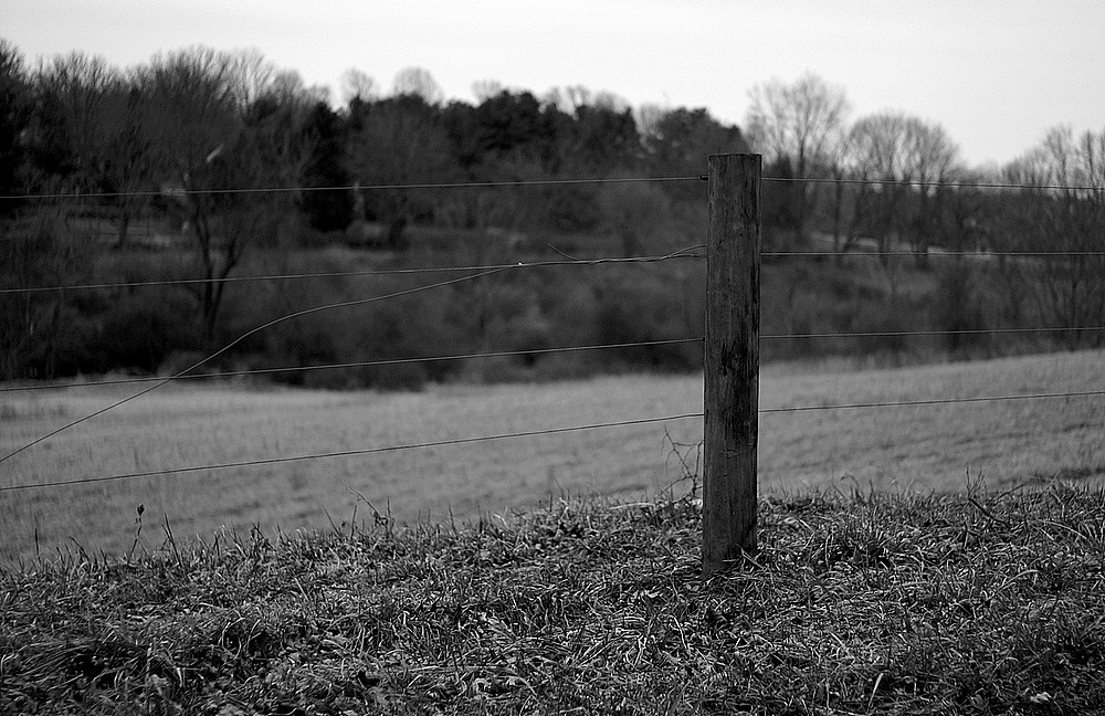 Fence Post<br>February 1, 2006