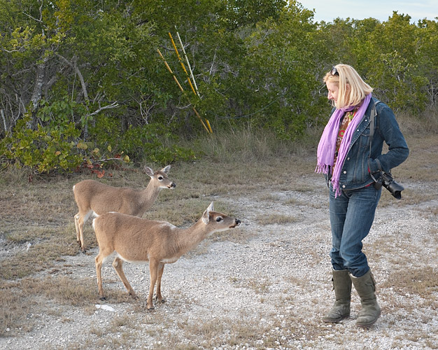 Kim n Two Curious Does