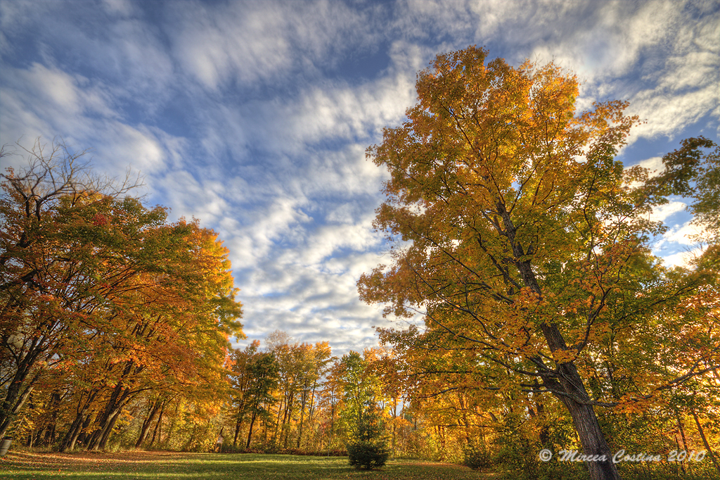 October Sky