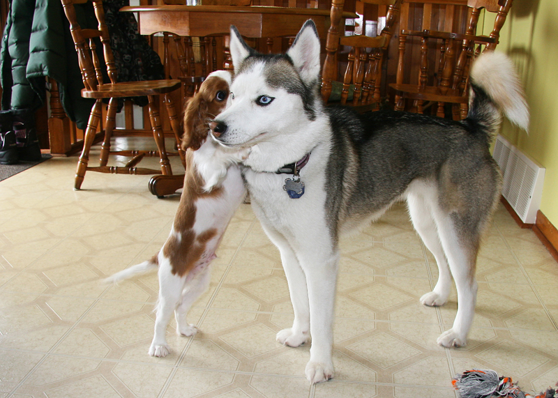 Louna et Gamin 