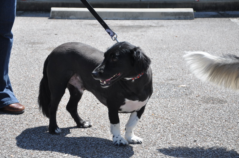 DSC_4440_resize.JPG