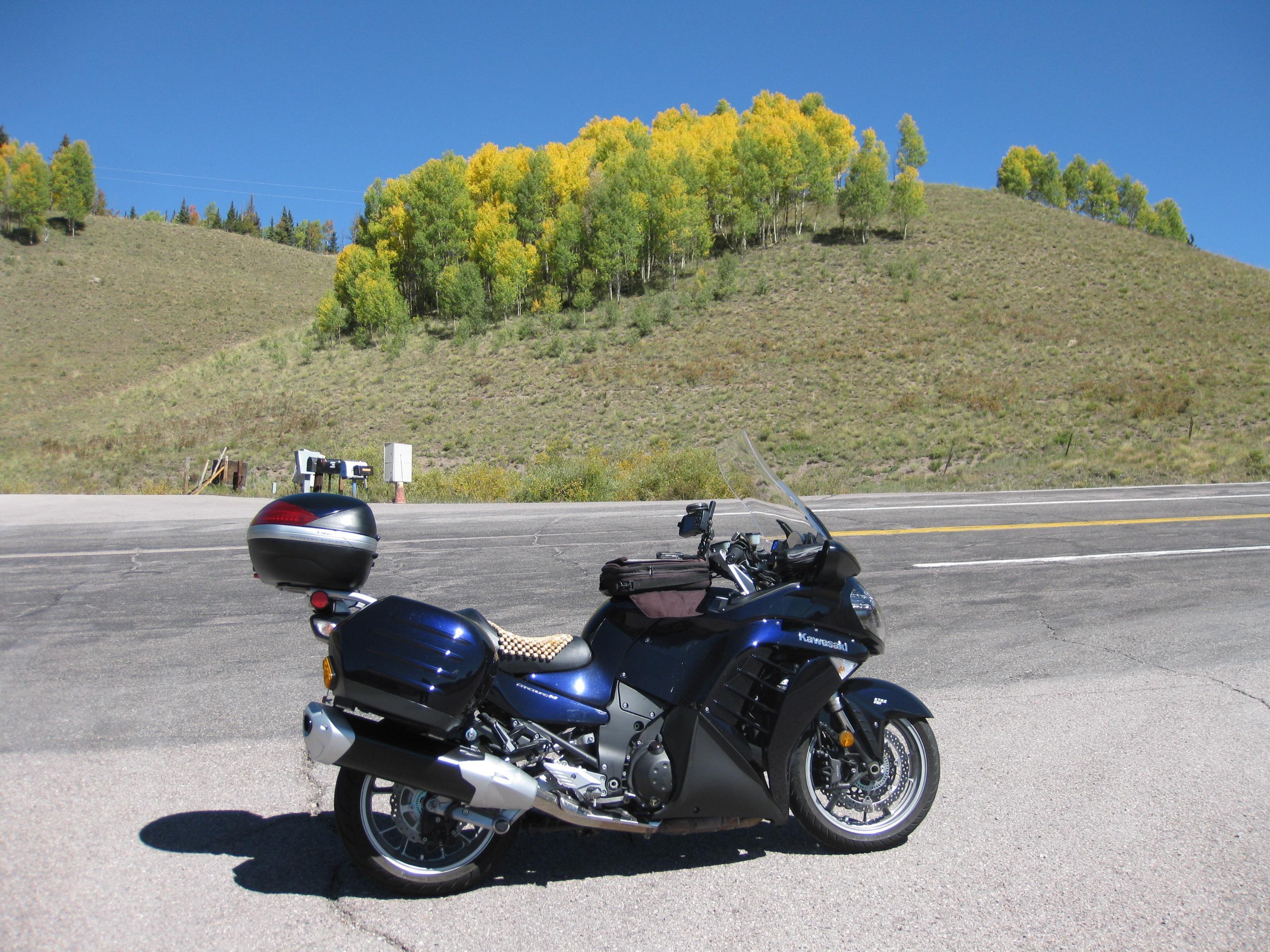 RockiesGold 019a.JPG