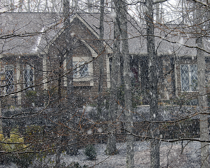 A VERY SNOWY DAY.jpg