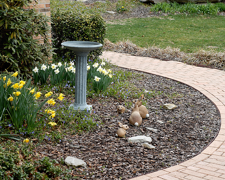 NIKON 50mm TEST.jpg