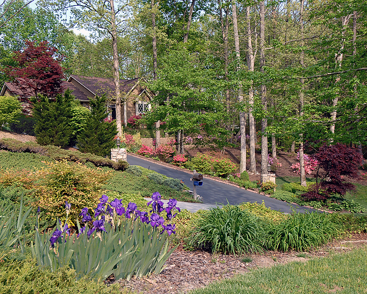 SPRING_2006.jpg