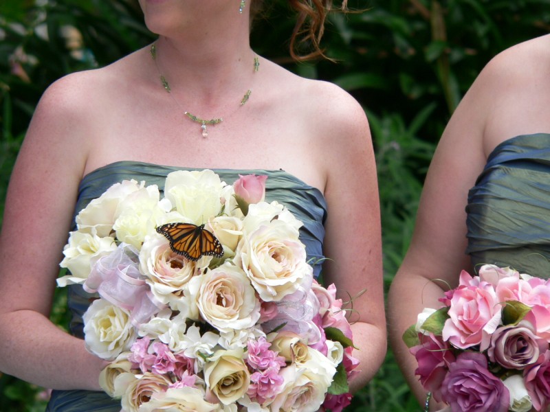 Bridesmaid and Butterfly.