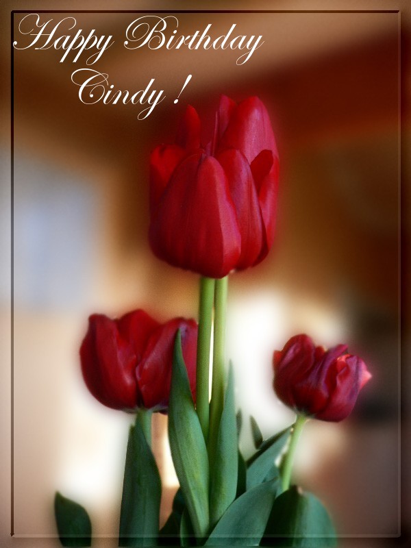 Happy Birthday Cindy. photo - laine photos at pbase.com