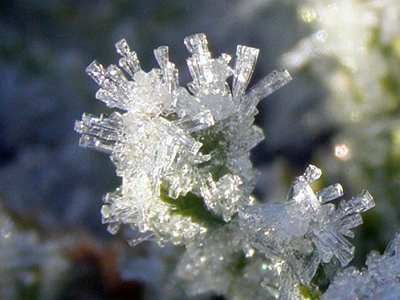 65. Frost cystals. Cool.