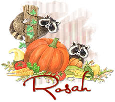 Rosah-FallRaccoons-tw.png