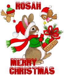 bunny xmas.jpg