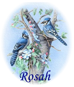 Rosah blue jay sig by Shell.jpg