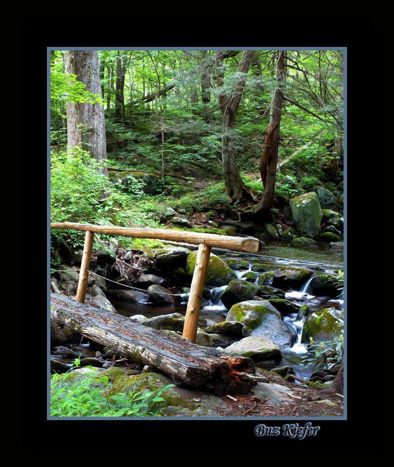 Log Bridge on Trail