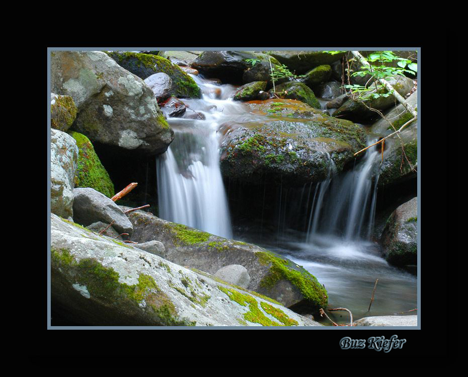 Broken Log and Stream