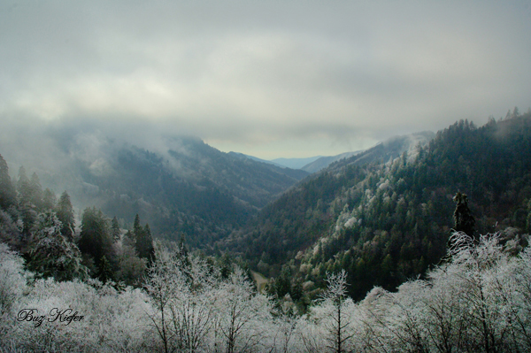 Valley of the Little Pigeon