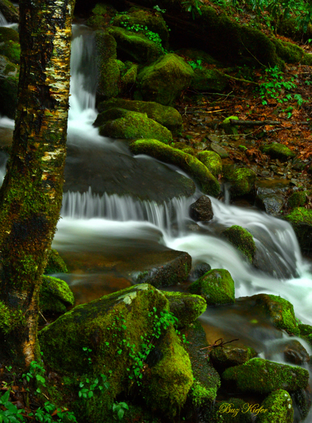 A Stream in the Rain